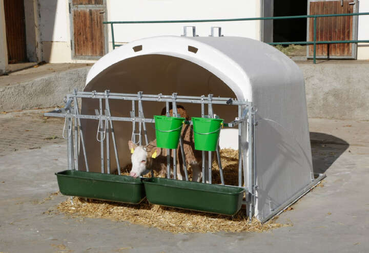 KERBL Kälberbox CalfHouse Premium XL mit Fanggitter